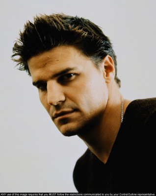 David Boreanaz pic #1264589