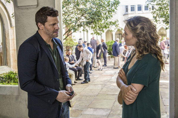 David Boreanaz pic #1259377