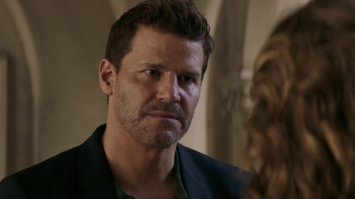 David Boreanaz pic #1259381