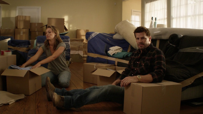 David Boreanaz pic #1258647