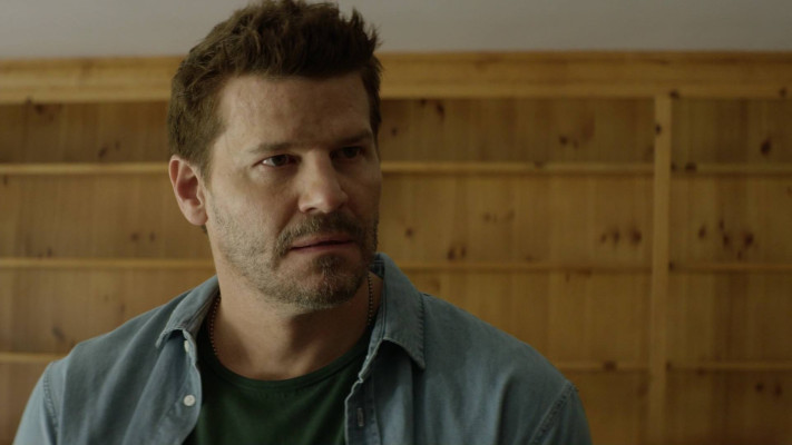 David Boreanaz pic #1258652