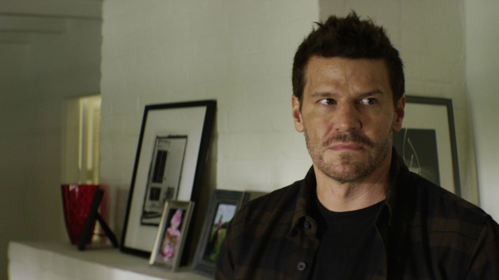 David Boreanaz pic #1261296