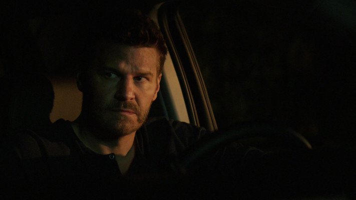 David Boreanaz pic #1261294