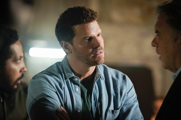 David Boreanaz pic #1257430