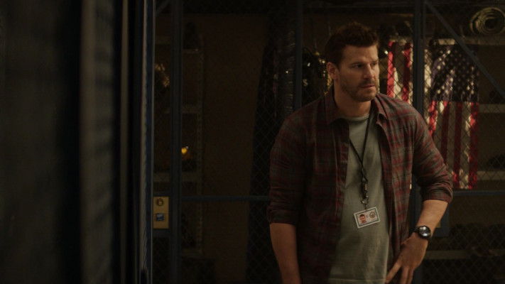 David Boreanaz pic #1259999