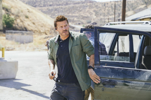 David Boreanaz pic #1260003