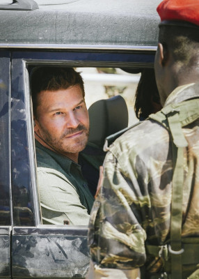 David Boreanaz pic #1260007