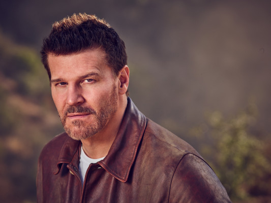 David Boreanaz pic #1268198