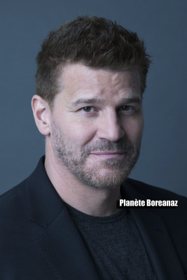 David Boreanaz pic #1256929