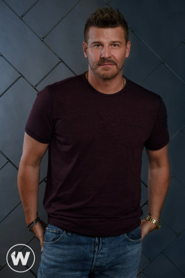 David Boreanaz pic #1255120
