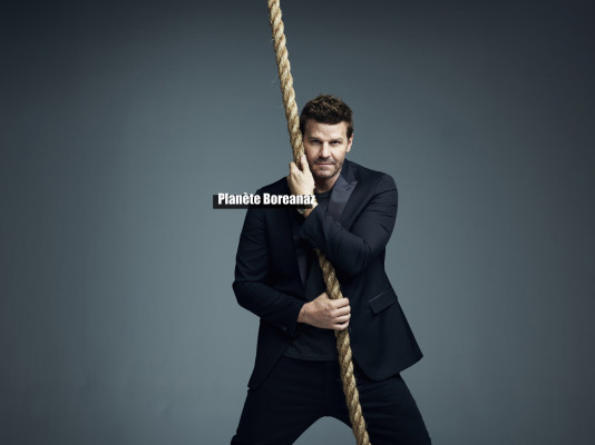 photo 11 in Boreanaz gallery [id1273372] 2021-10-10 00:00:00