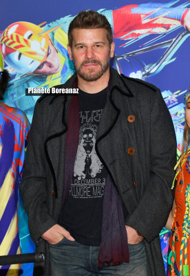 David Boreanaz pic #1277859