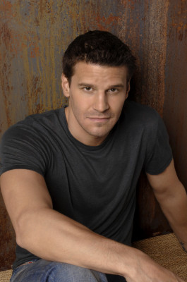 David Boreanaz pic #1263793