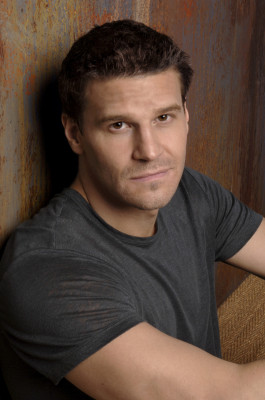 David Boreanaz pic #1263792