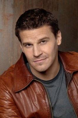 David Boreanaz pic #1263796