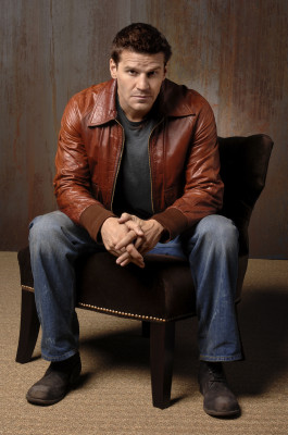 David Boreanaz pic #1263795