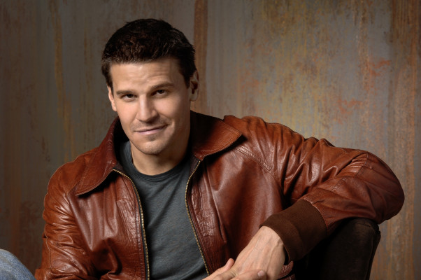 David Boreanaz pic #1263794
