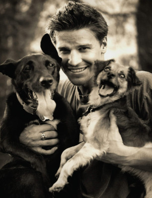 David Boreanaz pic #260025