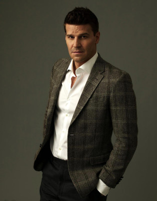 David Boreanaz pic #683689