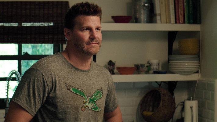 David Boreanaz pic #1259200