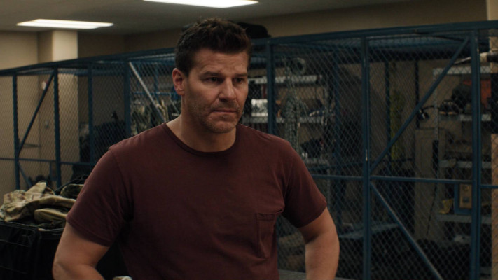 David Boreanaz pic #1258527