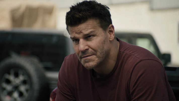 David Boreanaz pic #1258525