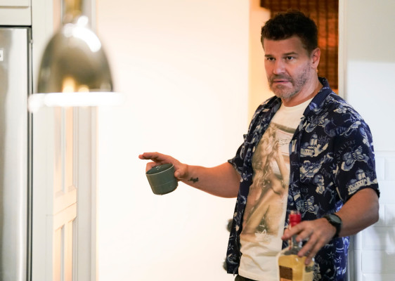 David Boreanaz pic #1271172