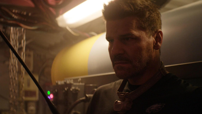 photo 16 in Boreanaz gallery [id1282405] 2021-11-23 00:00:00