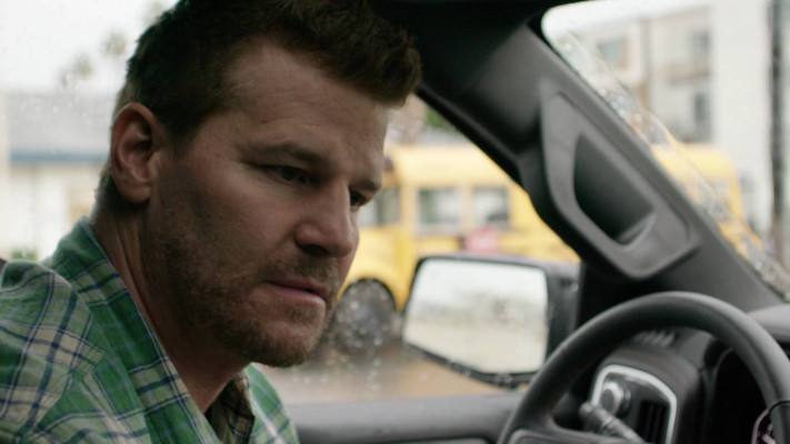 David Boreanaz pic #1259582