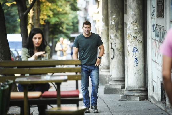 David Boreanaz pic #1262210