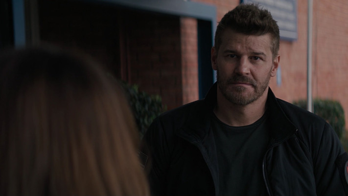 David Boreanaz pic #1267403