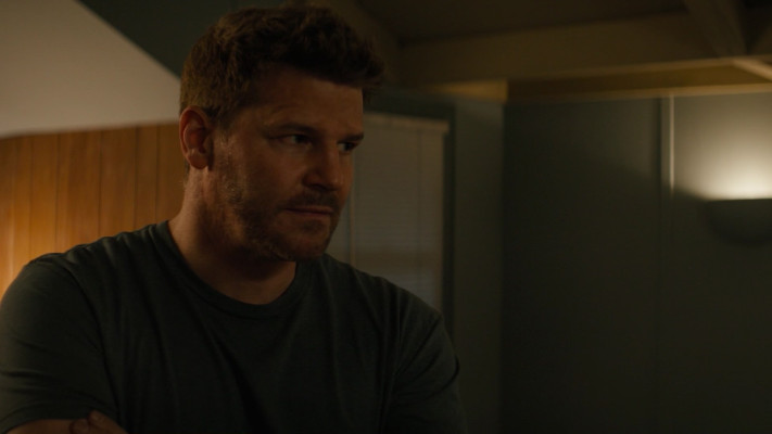 David Boreanaz pic #1273131