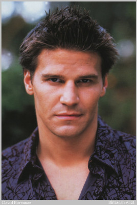 David Boreanaz pic #68007