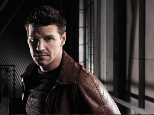 David Boreanaz pic #361809