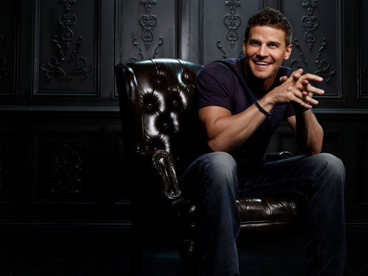 David Boreanaz pic #361796