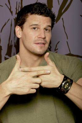 David Boreanaz pic #250290