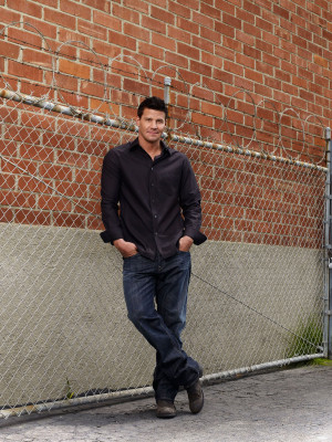 David Boreanaz pic #250276