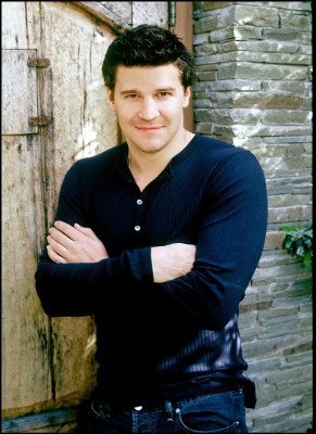 David Boreanaz pic #36789