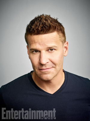 David Boreanaz pic #1276197