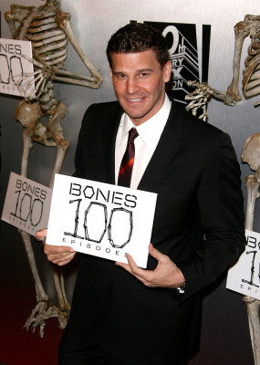 David Boreanaz pic #251056