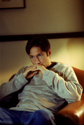David Duchovny pic #446461