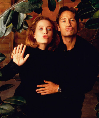 David Duchovny pic #446460