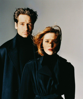 David Duchovny pic #103221