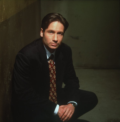 David Duchovny pic #362256