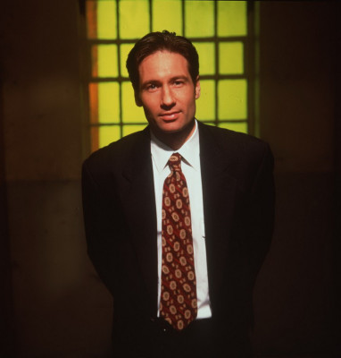 David Duchovny pic #362249