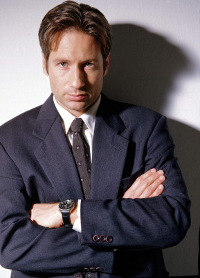 David Duchovny pic #362252
