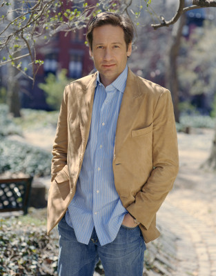 David Duchovny pic #178800