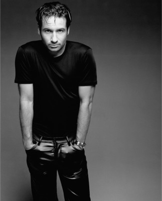 David Duchovny pic #178809