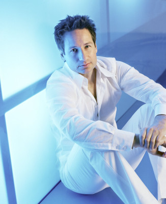 David Duchovny pic #178812