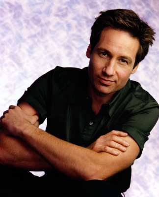 David Duchovny pic #178779